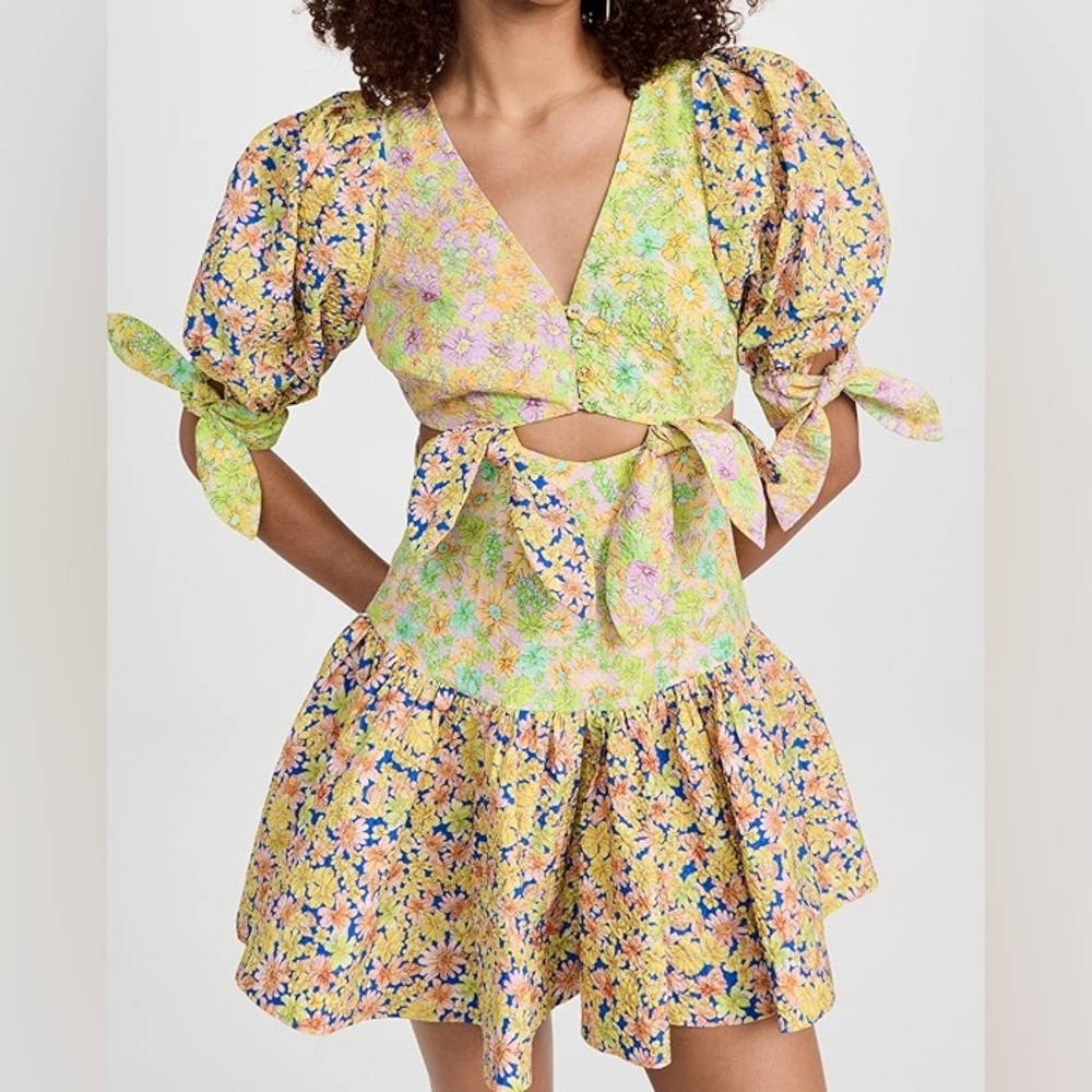 Alemais Daisy Floral Mini Dress
